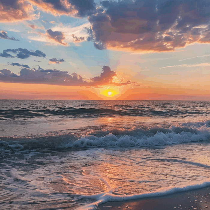 Four Months of Belonging: Finding Home in New Zealand